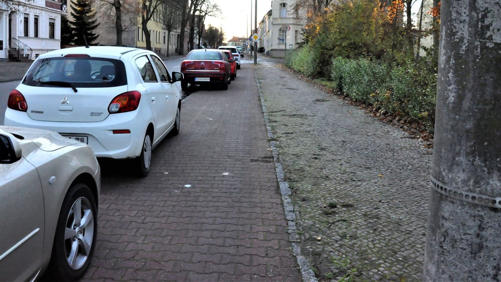Der Geh- und Radweg in der Zerbster Friedrich-Naumann-Straße - hier eine Aufnahme zur besseren Veranschaulichung aus dem Herbst - soll im Bereich des dortigen Parks saniert werden. 