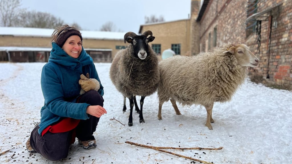 Undine Günther ist mit den Schafen Lami und Flocke im Gehege. 