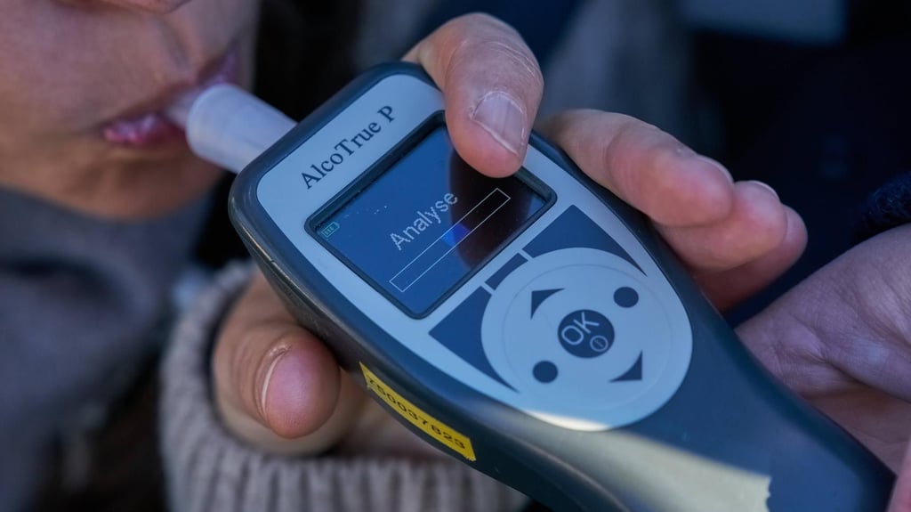 Mit mindestens 0,96 Promille hat ein junger Mann in Aschersleben einen Unfall gebaut und hat dann den Unfallort verlassen. Jetzt stand er dafür vor Gericht.