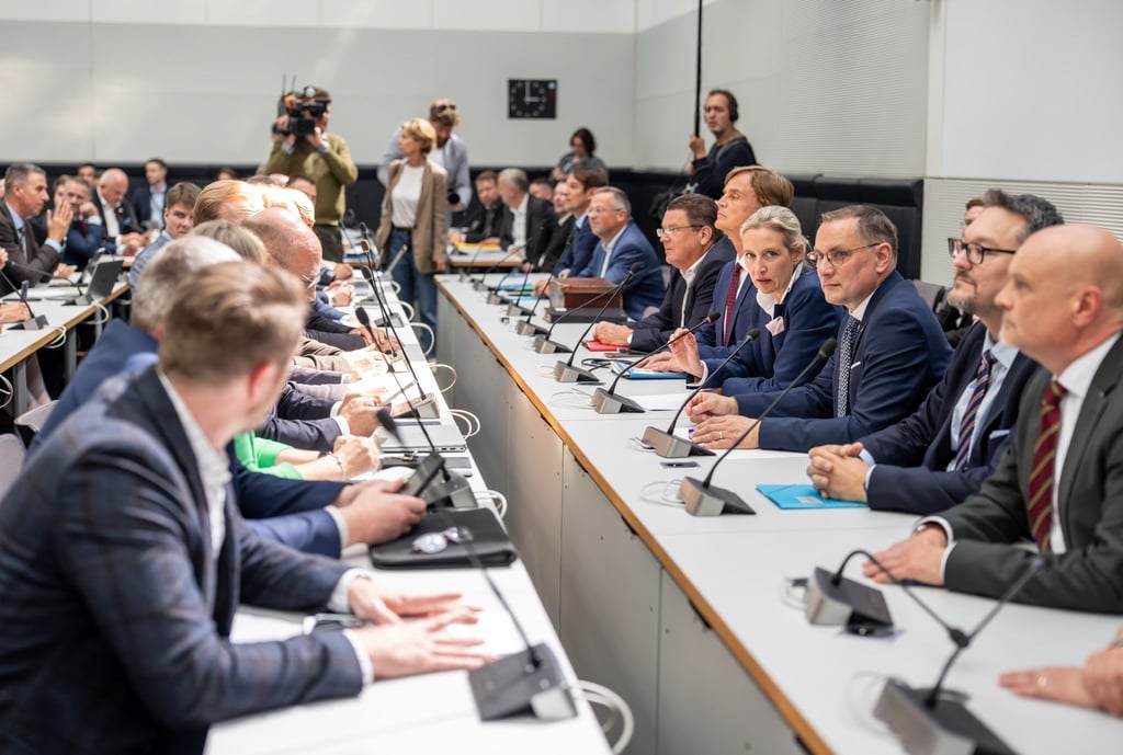 Die AfD-Fraktion sieht sich benachteiligt durch die Entscheidungen. (Archivfoto)