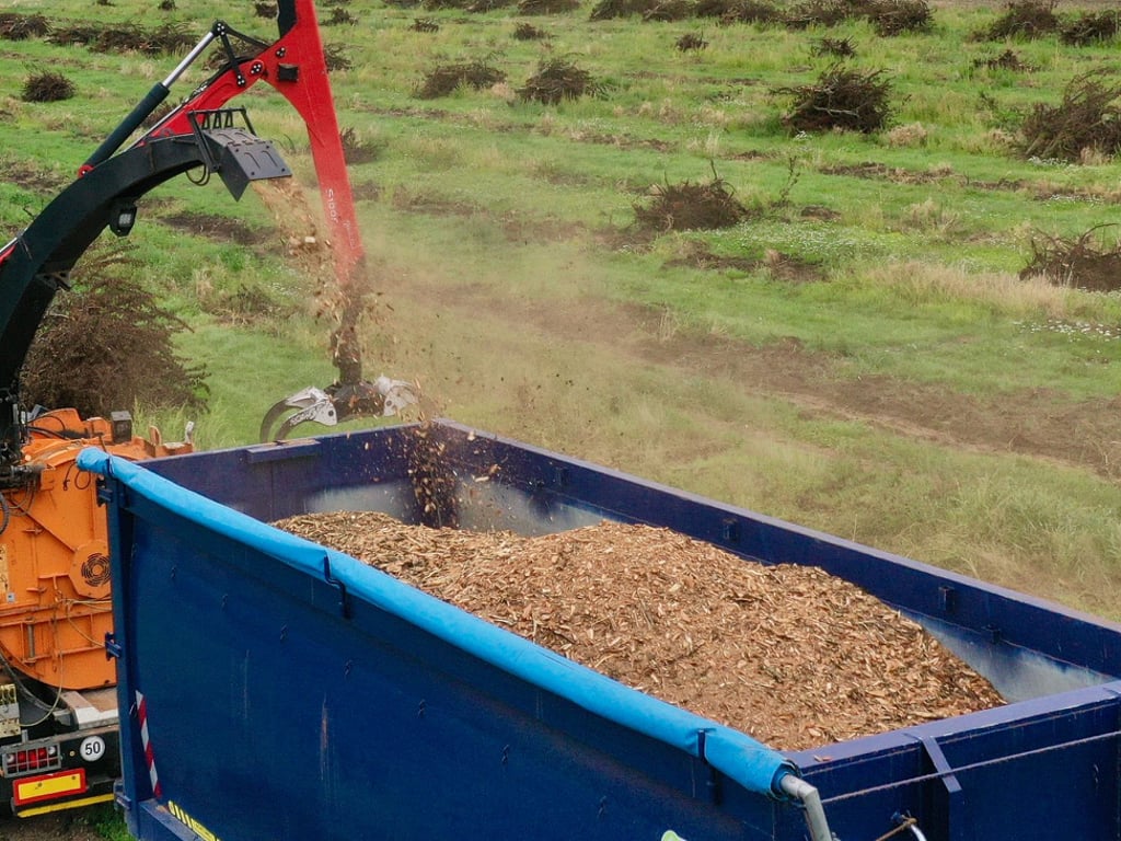 Unter anderem wegen unerlaubter Schredderarbeiten musste sich ein Mann am Amtsgericht Bernburg verantworten. 