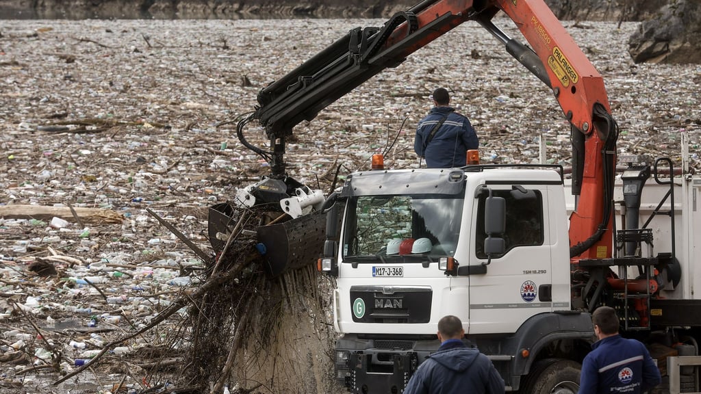 Der Verlust biologischer Vielfalt zählt einem aktuellen Weltbericht zufolge zu den größten Bedrohungen für die Wirtschaft.