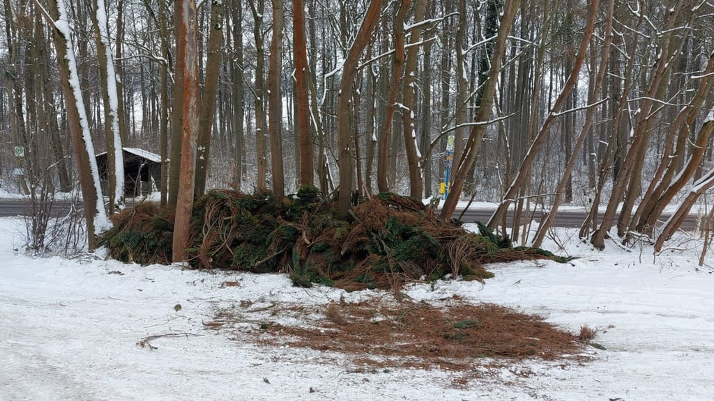 Erneut wurde auf dem Parkplatz am Meilenstein illegal Müll entsorgt.