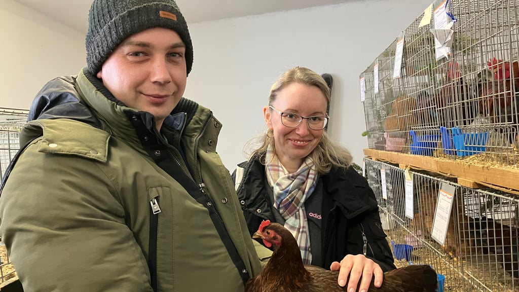 Markus Bauerfeld begeistert die Besucher der Jubiläumsausstellung für das Hobby der Rassegeflügelzucht. 