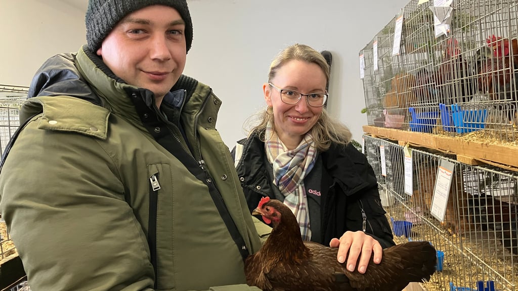 Markus Bauerfeld begeistert die Besucher der Jubiläumsausstellung für das Hobby der Rassegeflügelzucht. 