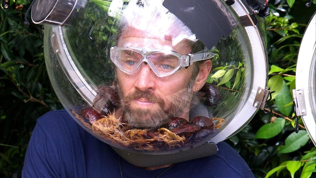 Auch das krabbeligste Getier konnte ihn nicht stoppen: Musiker Gil Ofarim ist Dschungelkönig. (Handout)