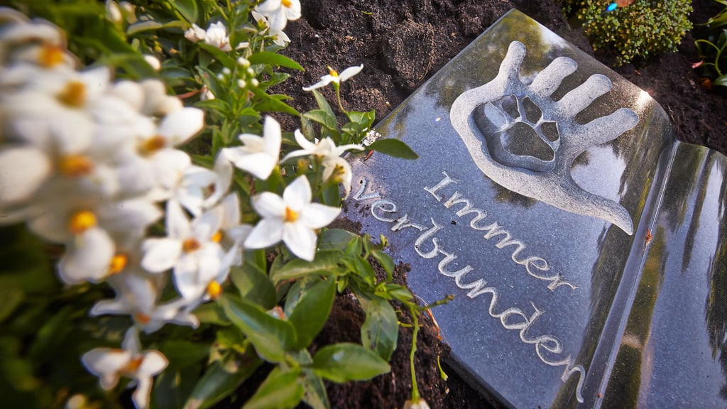 Mensch-Tier-Bestattungen sind nun auch in Wernigerode möglich.