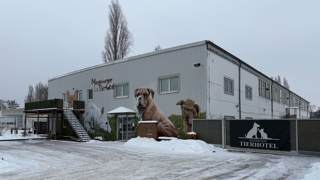 Das Magdeburger Tierhotel muss schließen. Das passiert jedoch nicht freiwillig. 