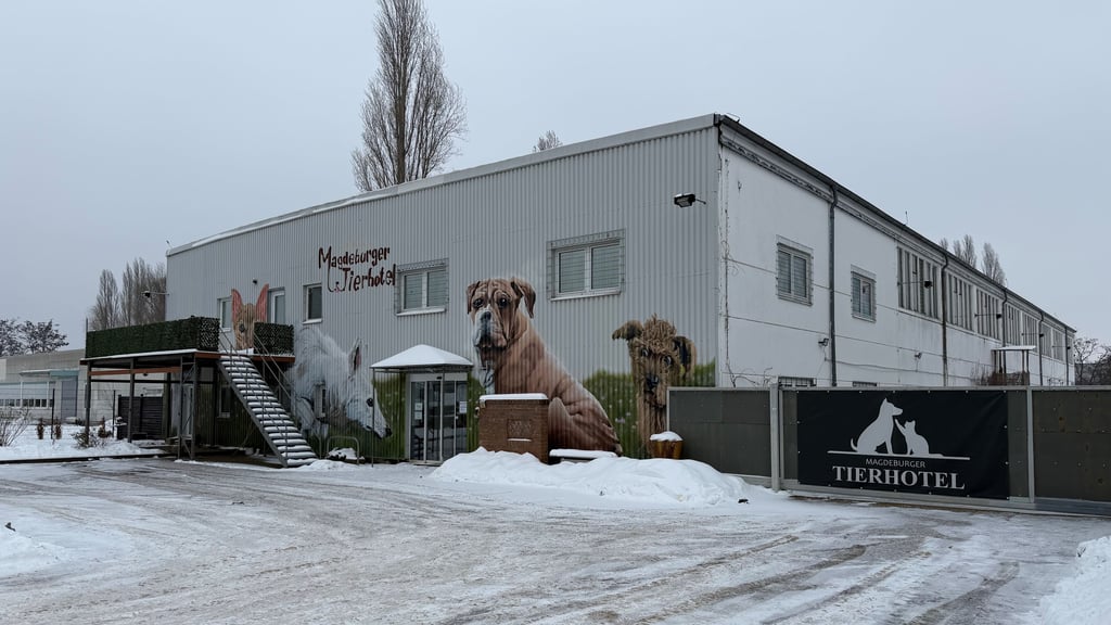 Das Magdeburger Tierhotel muss schließen. Das passiert jedoch nicht freiwillig. 