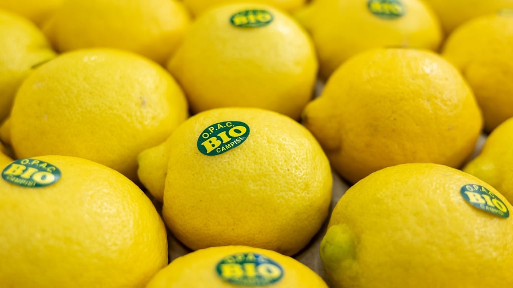 In Nürnberg eröffnet die weltweit größte Messe der Biobranche. Produkte aus nachhaltigem Anbau boomen (Archivbild).