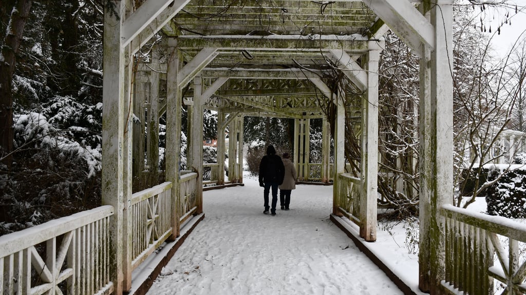Die Pergola im Magdeburger Vogelgesang-Park wartet seit Jahren auf eine Sanierung. Dies gehört unter anderem zu den Wünschen der Anwohner für die historische Grünanlage.
