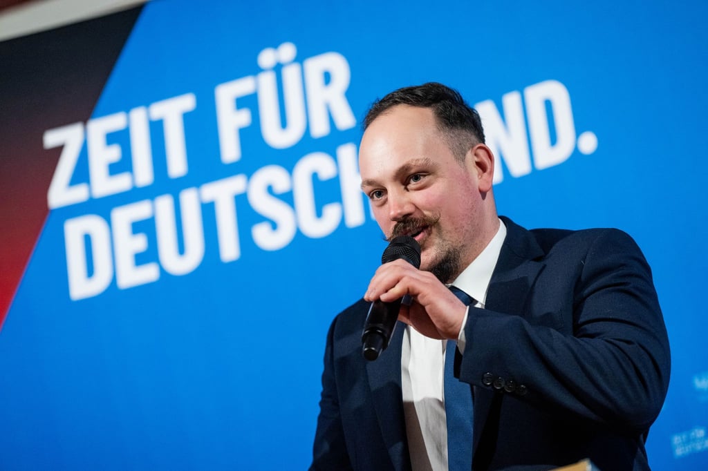 Der Verfassungsschutz stuft die AfD Brandenburg und ihre gerade neu gegründete Jugendorganisation im Land als rechtsextremistisch ein (Archivbild).