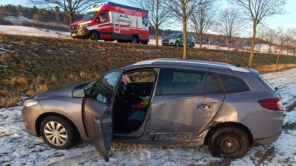Dieseser Renault rauschte die Böschung an der Landesstraße 85 beim Wernigeröder Ortsteil Benzingerode herab.