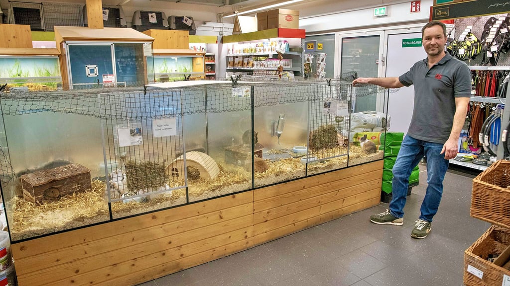 Andreas Jahn arbeitete eigentlich in der halleschen Filiale von Zoo Kaiser. Er kümmerte sich um den Umzug der Tiere nach Dessau.