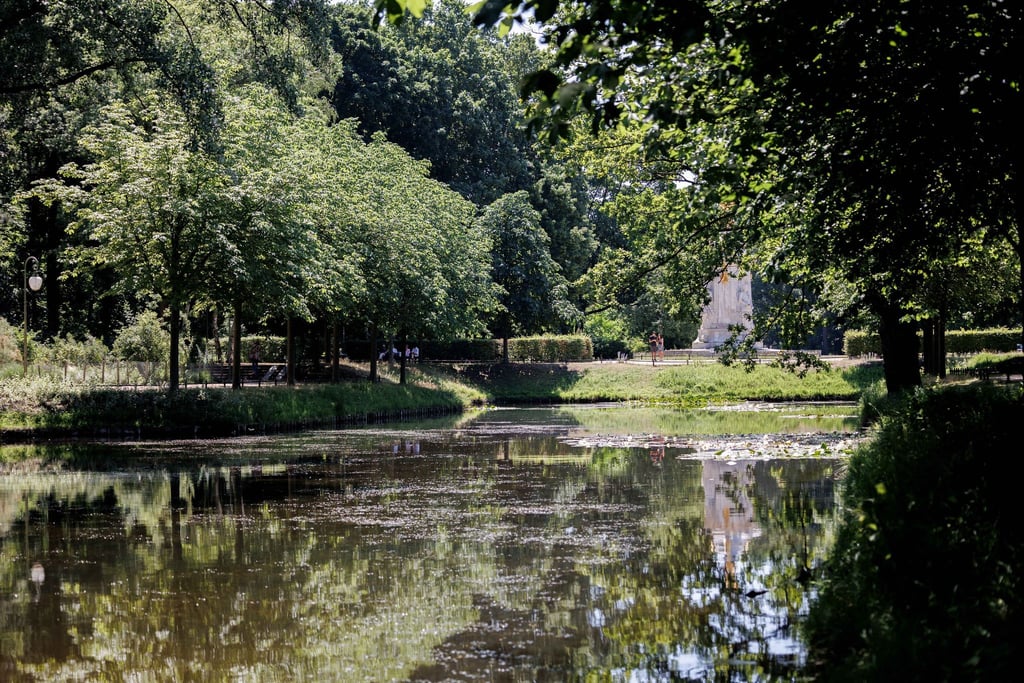 Am Goldfischteich im Berliner Tiergarten soll ein Denkmal für die während der NS-Zeit verfolgten Zeugen Jehovas entstehen. (Archivbild)