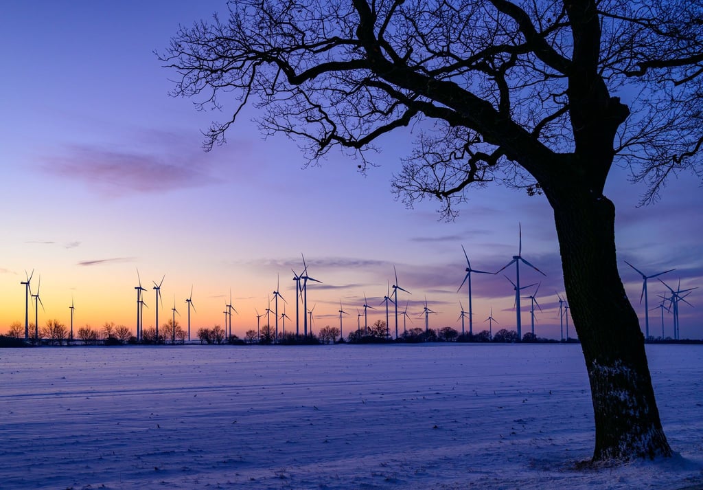 SPD und CDU in Brandenburg wollen einen „Wildwuchs“ bei Windkraftanlagen verhindern (Archivbild).