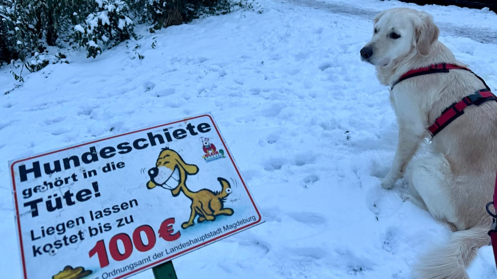 Die vor Jahren initiierte Kampagne „Hundeschiete gehört in die Tüte“ ist noch lebendig, wie hier im Schneidersgarten in Magdeburg.