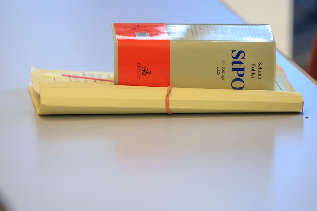 Die Frau darf sich in den nächsten Jahren nicht mehr alleine um Hunde kümmern. (Symbolbild)