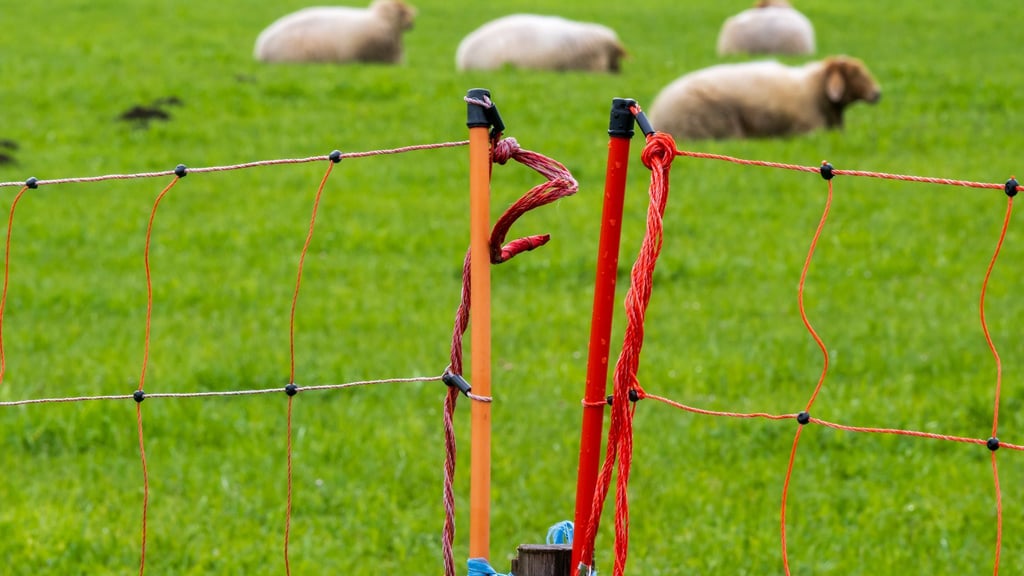 Die Polizei schätzt den Schaden auf einen unteren fünfstelligen Betrag. (Symbolbild)