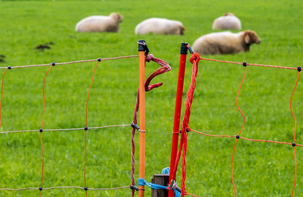 Die Polizei schätzt den Schaden auf einen unteren fünfstelligen Betrag. (Symbolbild)
