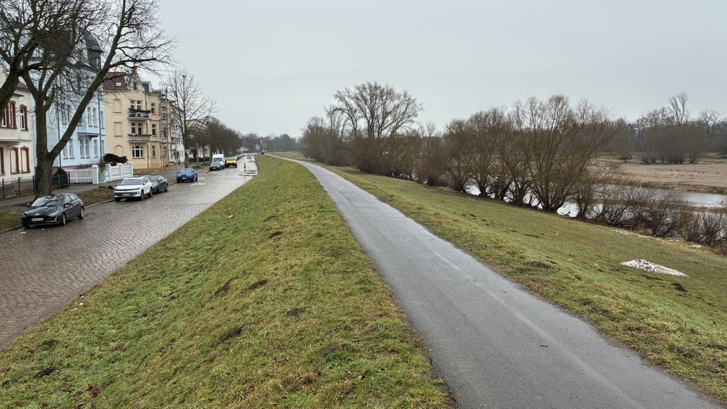 Links: Die Büchnerstraße in Magdeburg entlang des Deiches. Rechts: Die alte Elbe. Wegen Arbeiten am Deich sollen hier über 70 Bäume gefällt werden.