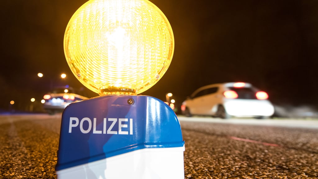 Die Polizisten fanden ein Kennzeichen an der Unfallstelle in Jeßnitz.