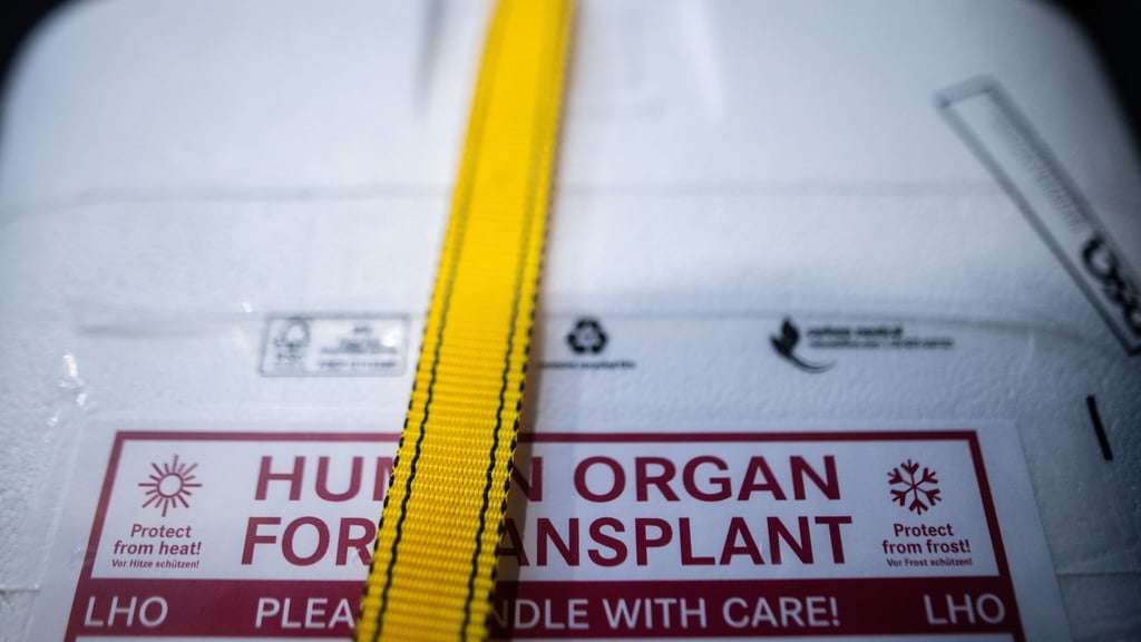 Kühlbox für eine Organspende: Ein zweijähriger Junge kämpft in Neapel um sein Leben. Nach einem Transplantationsfehler wird europaweit nach einem passenden Spenderherz gesucht. (Archivbild)