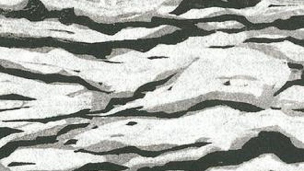 Ausschnitt aus einer Arbeit des Magdeburger Künstlers Horst Weidt.