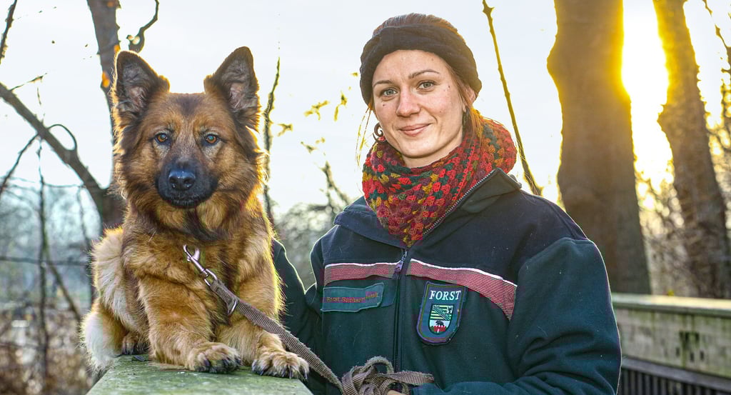 Katharina Matthes ist die neue Försterin im Gebiet Bernburg. Ihre vierbeinige Kollegin „Idun“ gehört der Rasse „Harzer Fuchs“ an.
