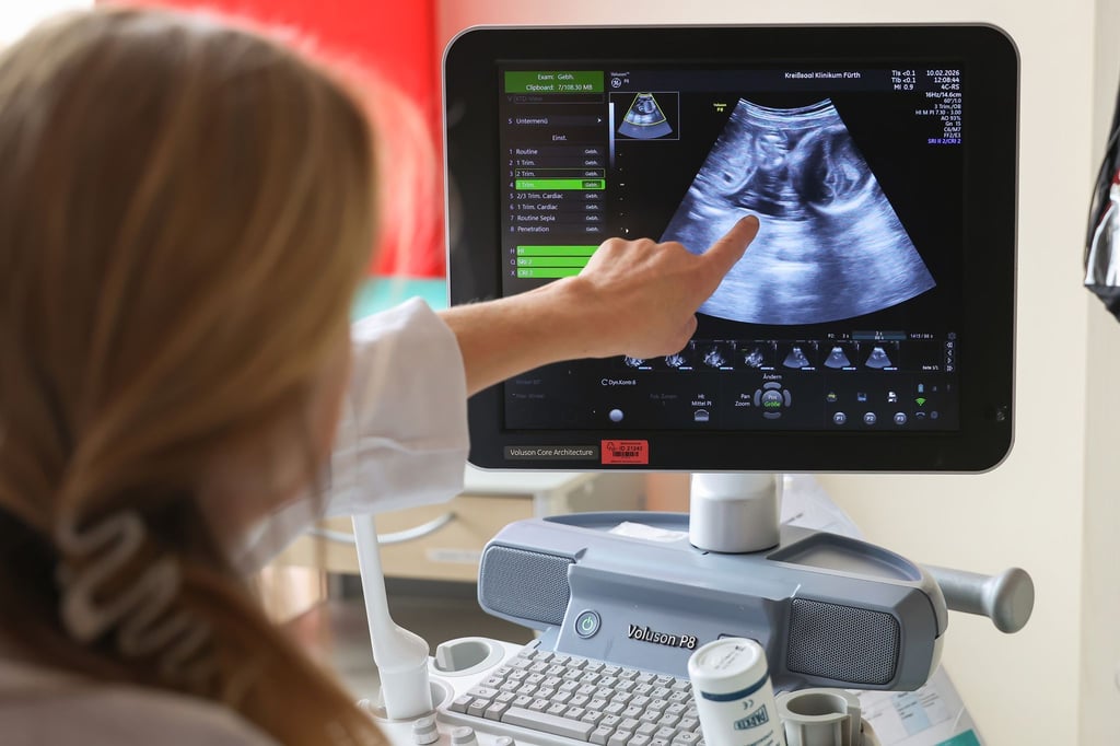 Auf dem Ultraschallbild ist laut der Ärztin zu sehen, dass Jasmin Schmidt wieder Zwillingsmädchen bekommt.