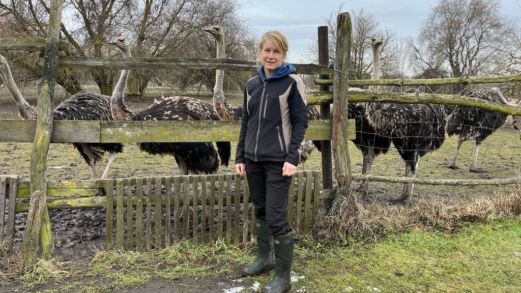 Die Inhaberin Sabine Scholz mit ihren Straußen.