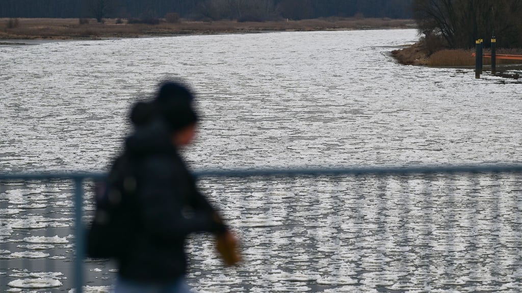 Auf der Oder hat sich in den vergangenen Woche eine Eisdecke gebildet. (Archivbild)