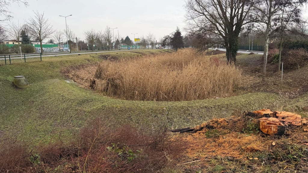 In dieser grünen Oase in Magdeburg-Olvenstedt fanden Arbeiten an den Bäumen und Büschen statt. 