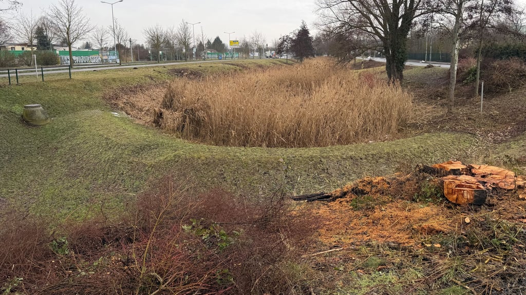 In dieser grünen Oase in Magdeburg-Olvenstedt fanden Arbeiten an den Bäumen und Büschen statt. 