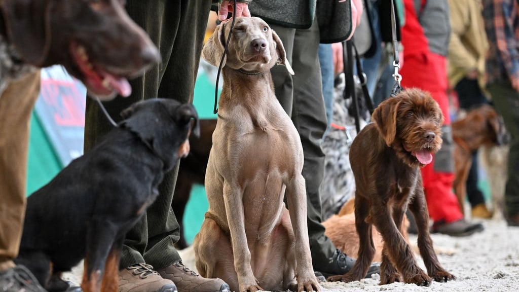 Angebote für Freizeit im Grünen werden geboten. (Archivbild)