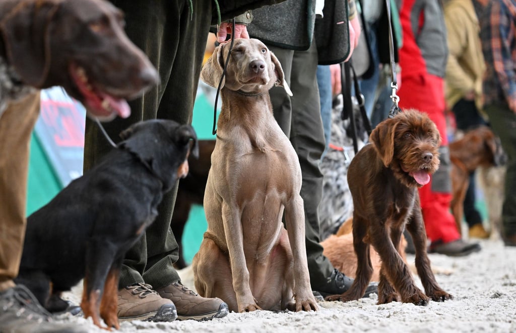 Angebote für Freizeit im Grünen werden geboten. (Archivbild)