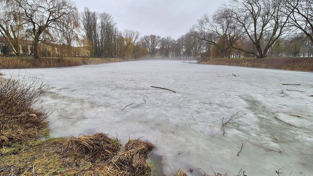 Der Schwanenteich am 12. Februar 2026: Die Stadtverwaltung in Stendal möchte das ökologische Gleichgewicht des Sees stärken.