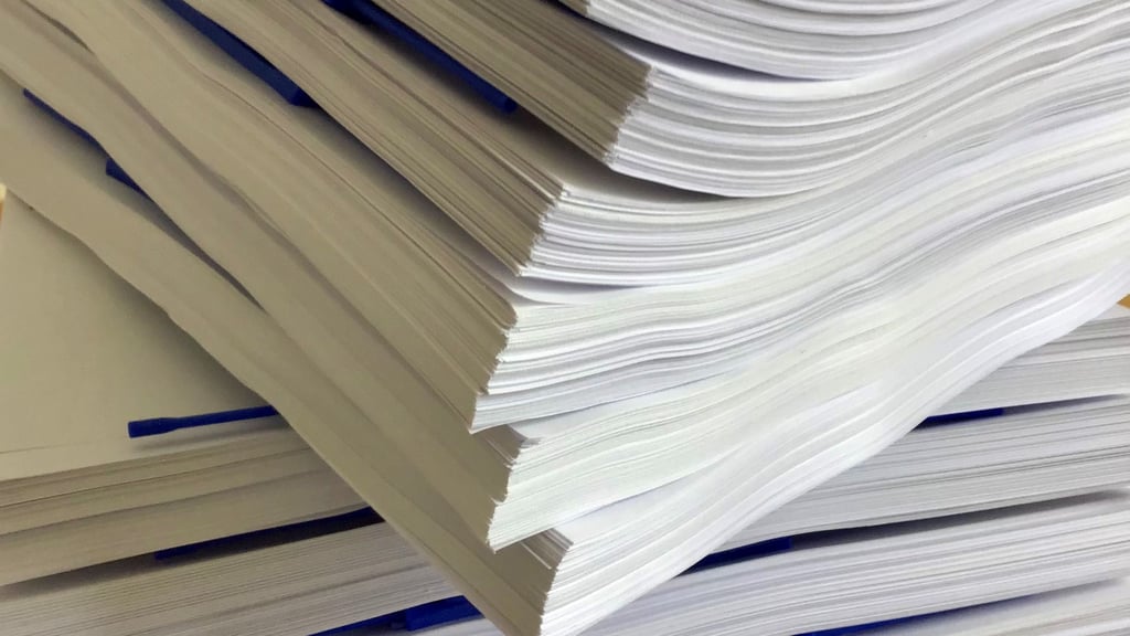 Wenn die Verwaltung den Haushaltsplan für einige Zeitzer Stadträte ausdrucken muss, dann sind  das tausende Seiten - teuer und wenig ressourcenschonend. 