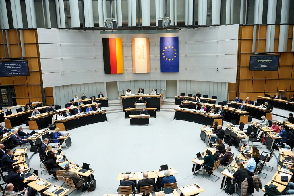 Im Berliner Abgeordnetenhaus ging es in der Debatte um den Winterdienst hoch her.