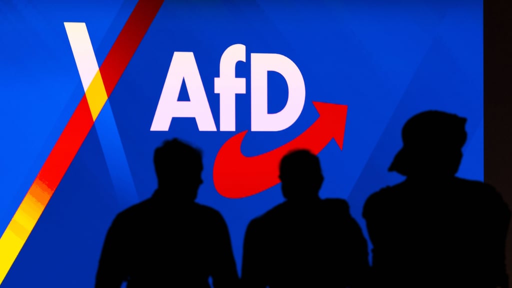 Die AfD Sachsen-Anhalt wird von Filz-Vorwürfen erschüttert. 
