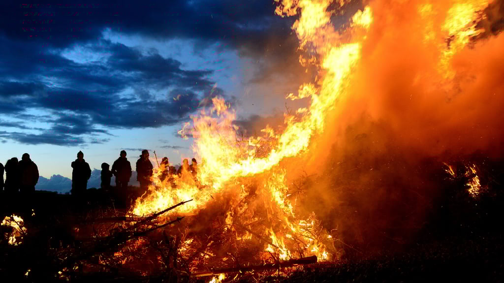 Für Osterfeuer in Falkenstein wird wieder Baum- und Strauchschnitt gesammelt. 