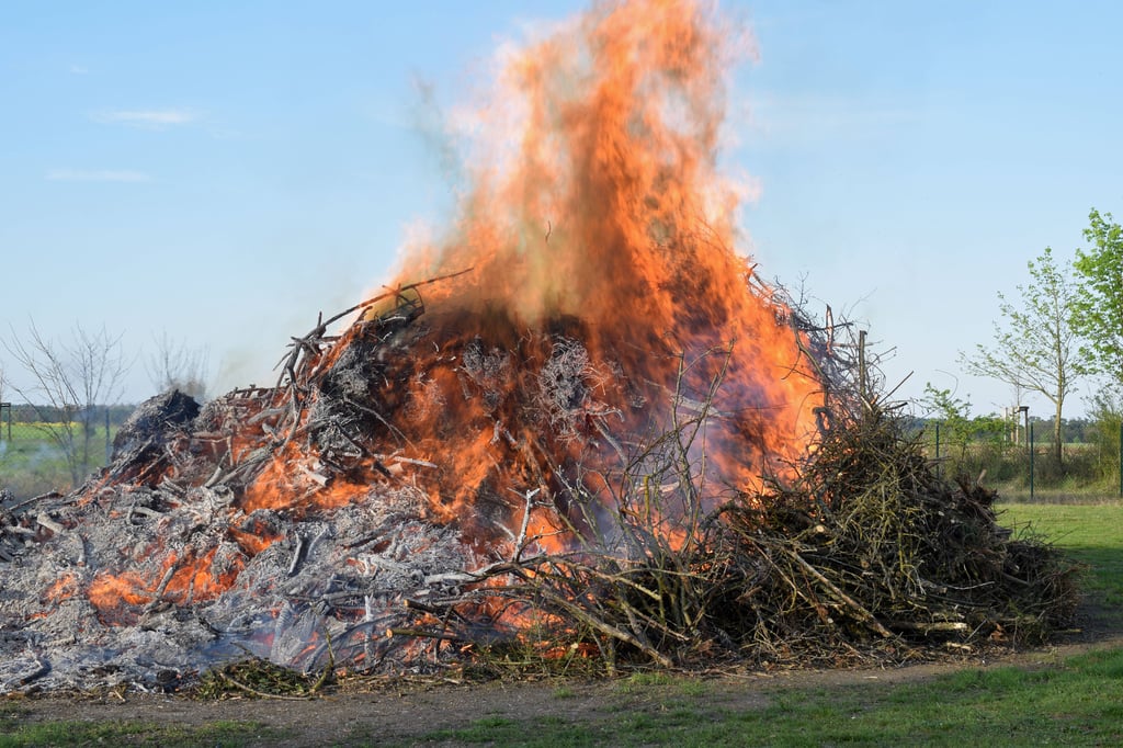 In manchen Landkreisen Sachsen-Anhalts ist das Verbrennen von Laub und Gartenabfällen erlaubt – und in manchen nicht.