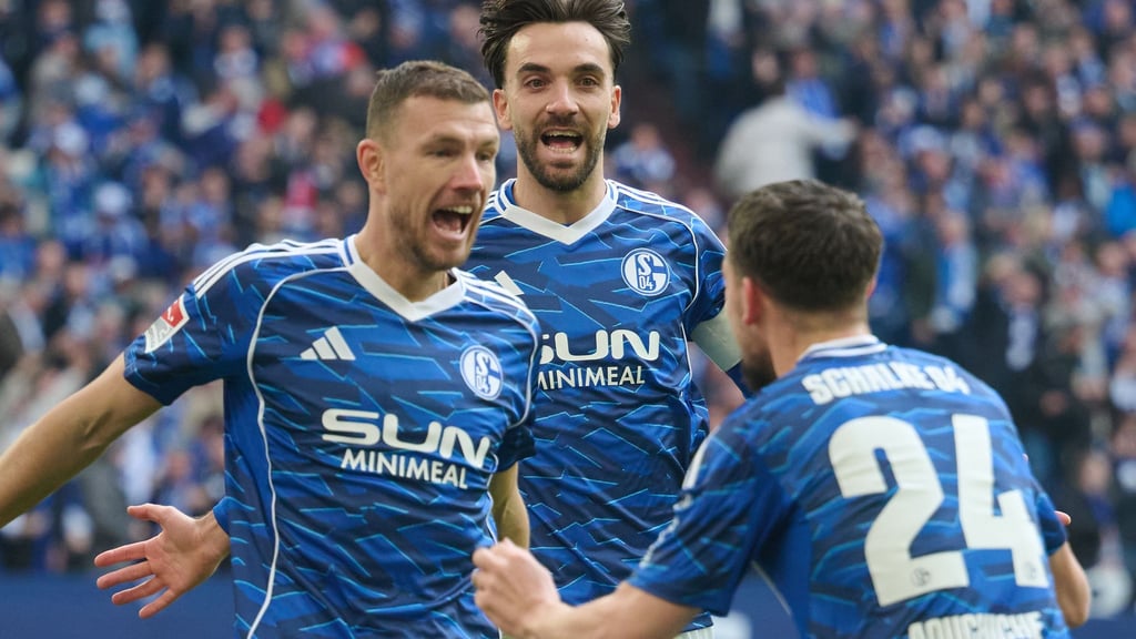 Schon drei Mal gejubelt, aber noch kein Mal gewonnen: Neuzugang Edin Dzeko (links) wartet trotz dreier Treffer noch auf seinen ersten Sieg mit Schalke (Archivbild).