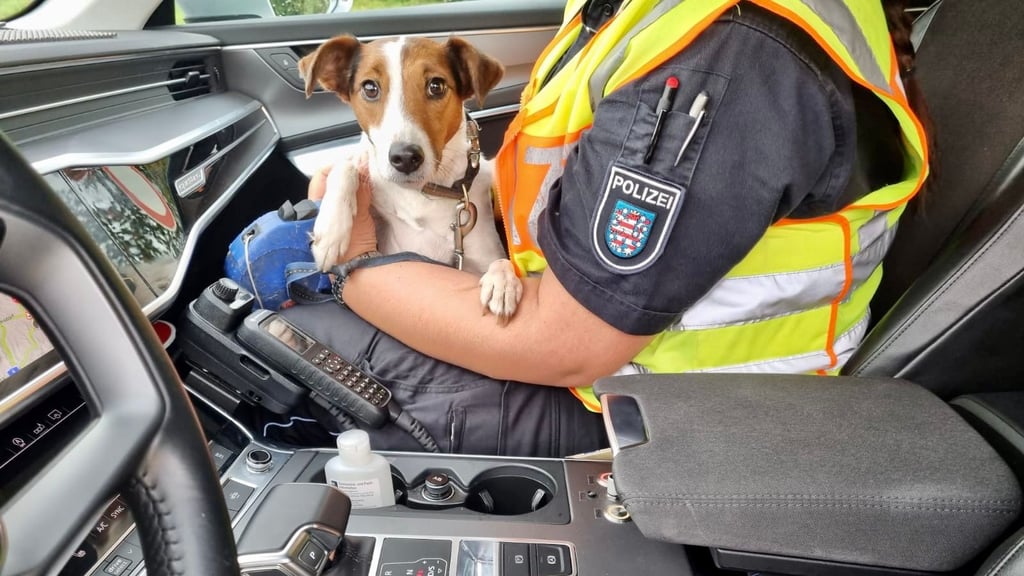 Bei einer Großkontrolle auf der A2 in der Börde hat ein Hund für einen lkw-Fahrer einen Umweg bedeutet.