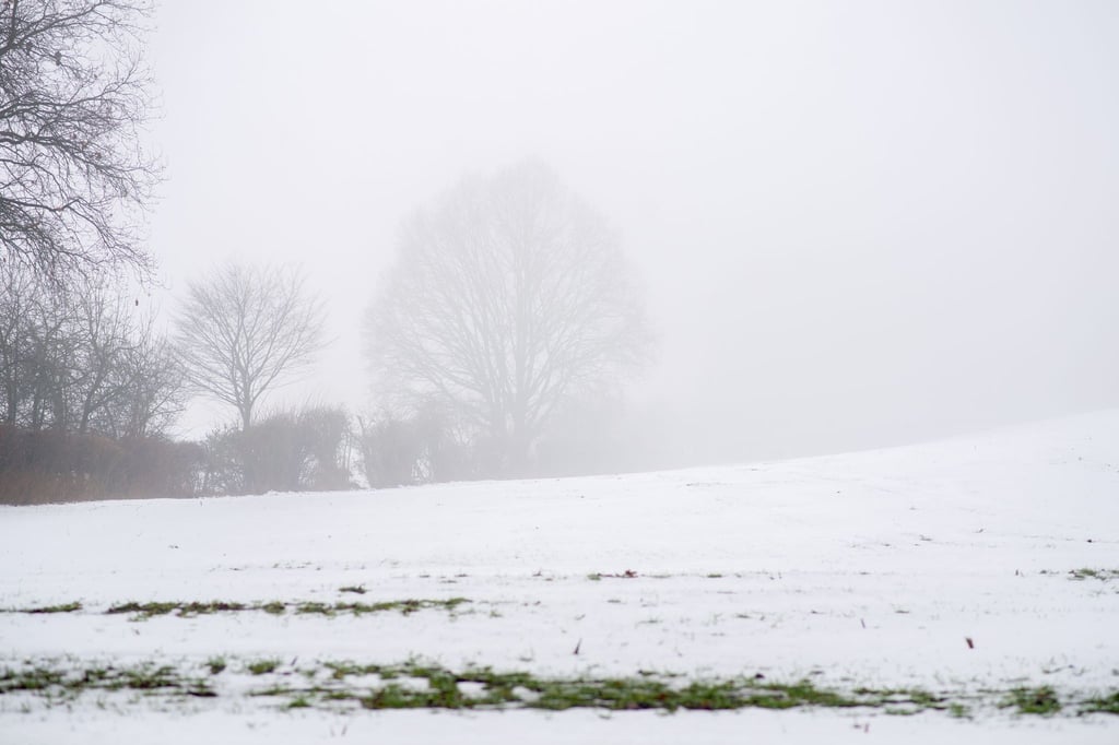 Das Wochenende in Niedersachsen und Bremen zeigt sich von seiner winterlich-trüben Seite. (Symbolbild)