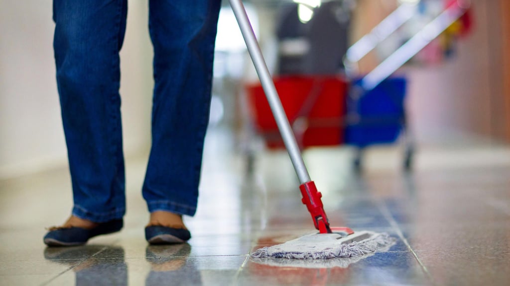 Sind die Reinigungszeiten und -intervalle an Ascherslebener Schulen unzureichend? Die Stadt will das überprüfen.