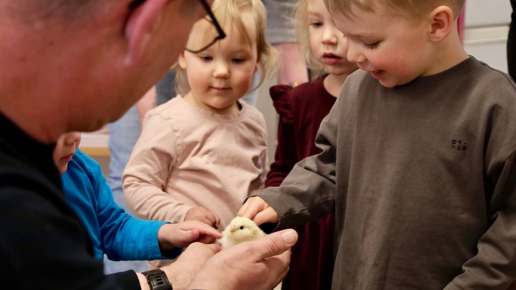Die Kinder zeigten sich vom ersten Projekt begeistert. Ein Besuch bei "ihren" in Samswegen lebenden Küken steht nun auch auf dem Plan. 