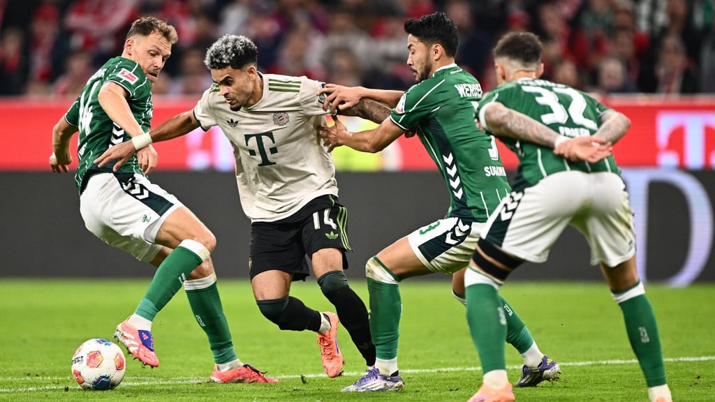 Jagd auf die Bayern? Die Werder-Spieler Senne Lynen (l) und Yukinari Sugawara bedrängen den Münchner Profi Luis Diaz.