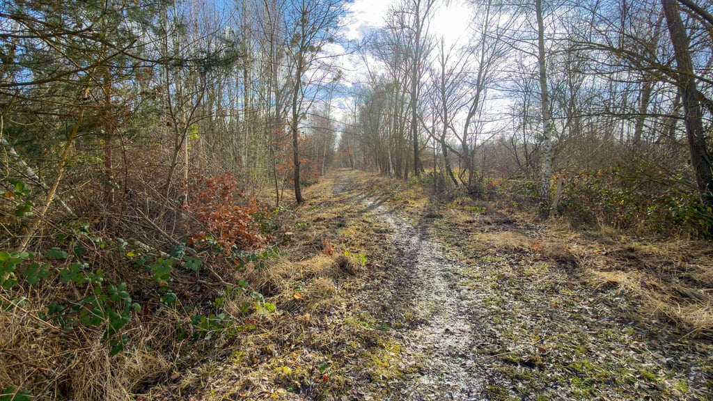 Der neue Anschlussweg zum Wanderweg nach Nickelsdorf beginnt am Waldspielplatz in Breitenbach.