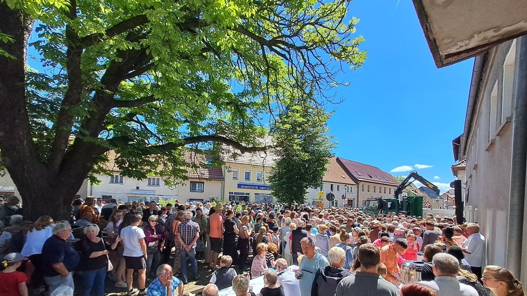 Unter anderem für eine Ersatzpflanzung für die Kastanie am Bäckerplatz - hier beim Mohnkuchen-Event 2024 - hat Allstedt Spenden bekommen.